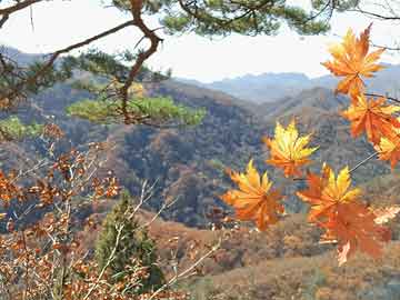 新澳門一碼中精準(zhǔn)一碼免費(fèi)中特,電影 最佳精選_煌武境IMQ17.7.87