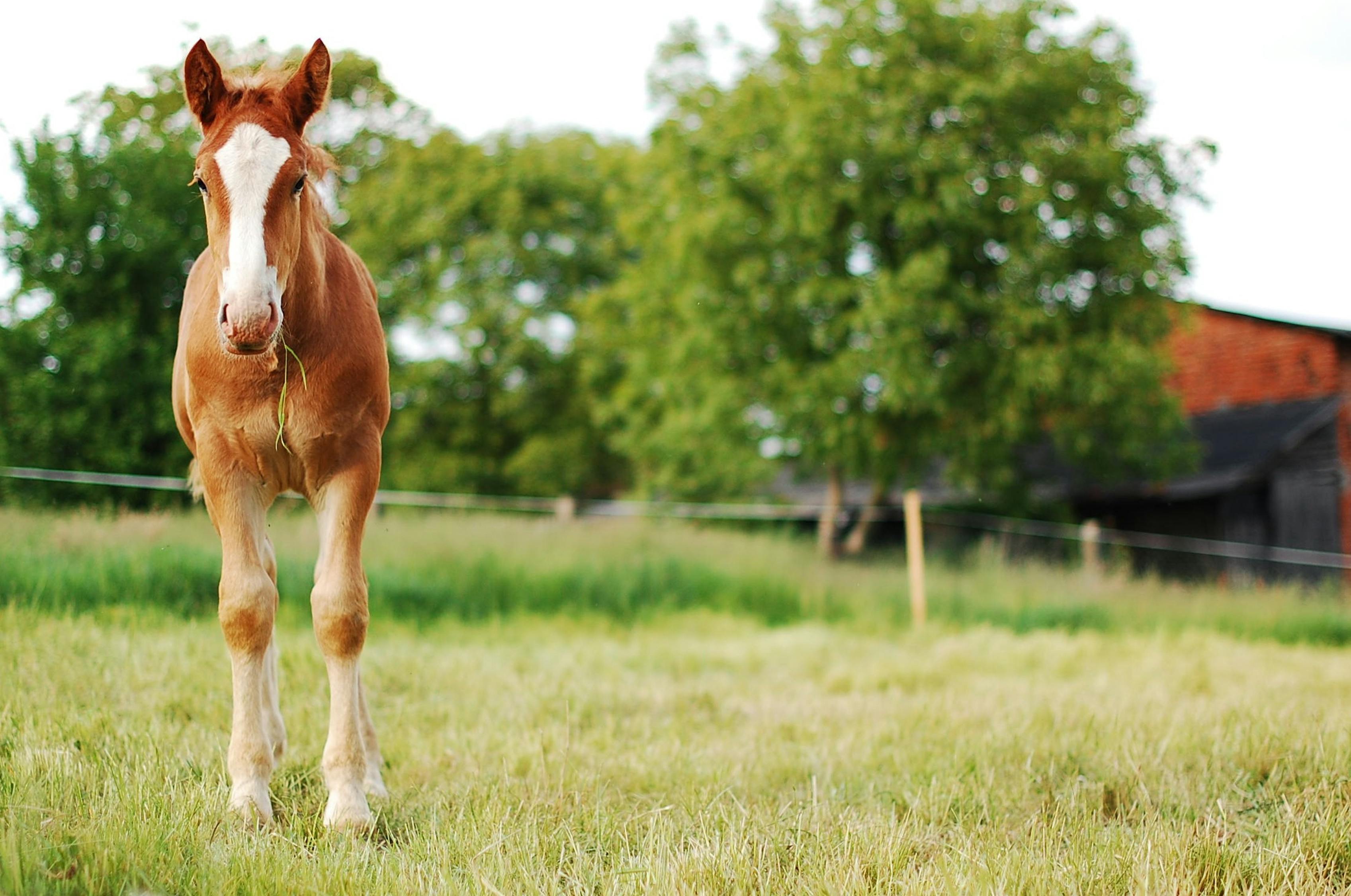 4949澳門特馬今晚開獎53期,最新核心賞析_19.86.28圣帝