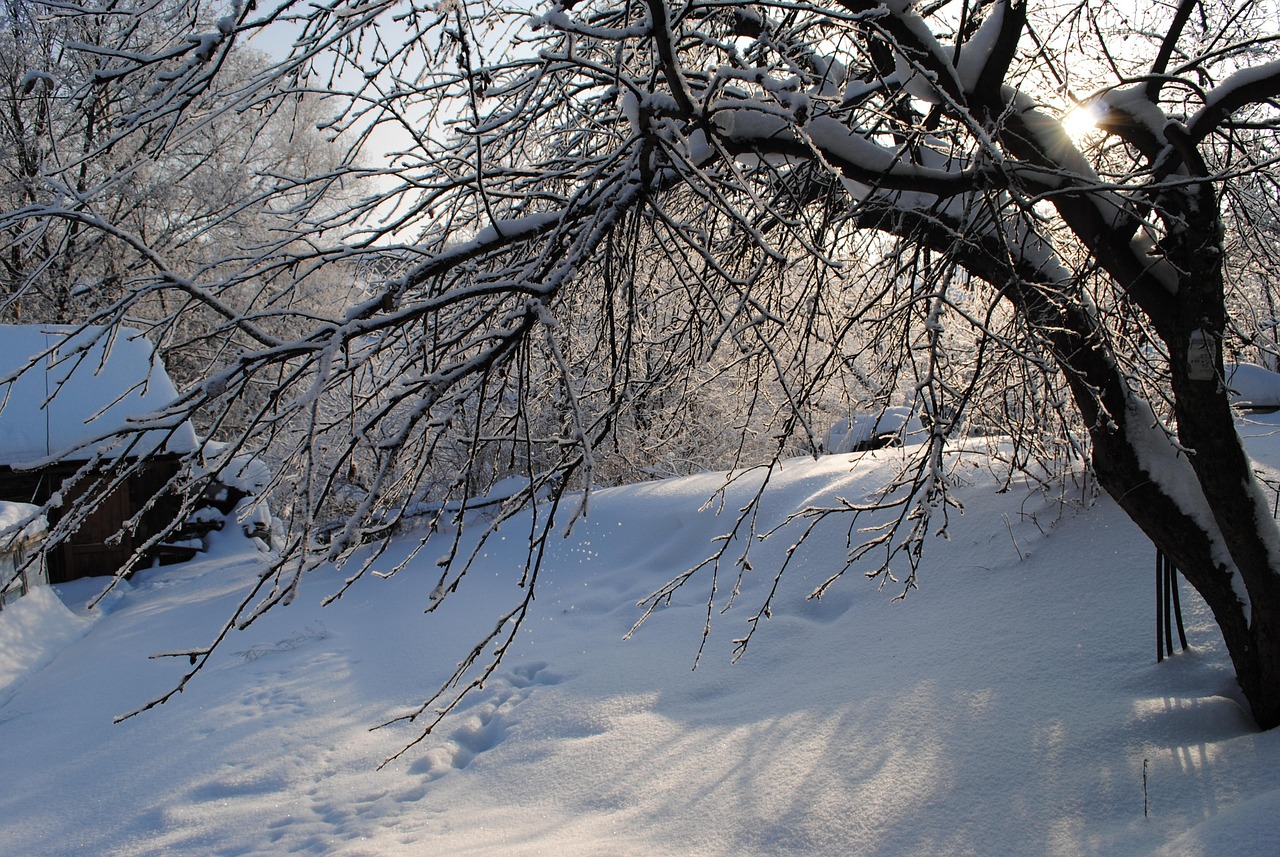 一月份雪的到來(lái)與天氣預(yù)報(bào)的影響分析